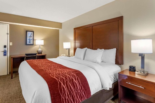 Comfort Inn & Suites Little Rock Airport image 11