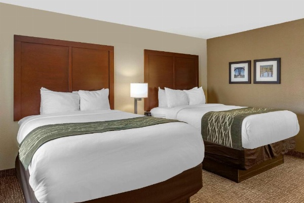 Comfort Inn & Suites Little Rock Airport image 15