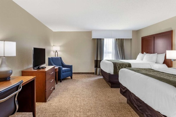 Comfort Inn & Suites Little Rock Airport image 16