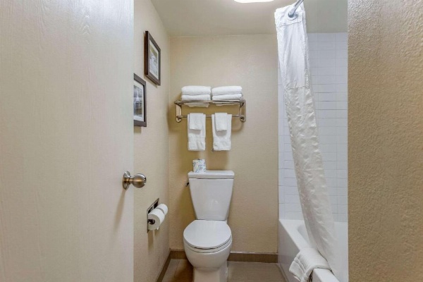 Comfort Inn & Suites Little Rock Airport image 17