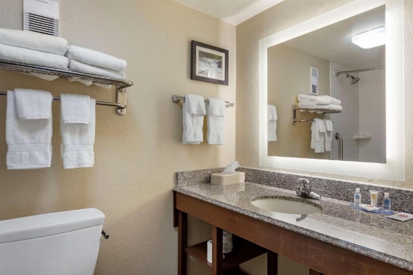 Comfort Inn & Suites Little Rock Airport image 21