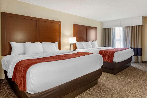 Comfort Inn & Suites Little Rock Airport image 7
